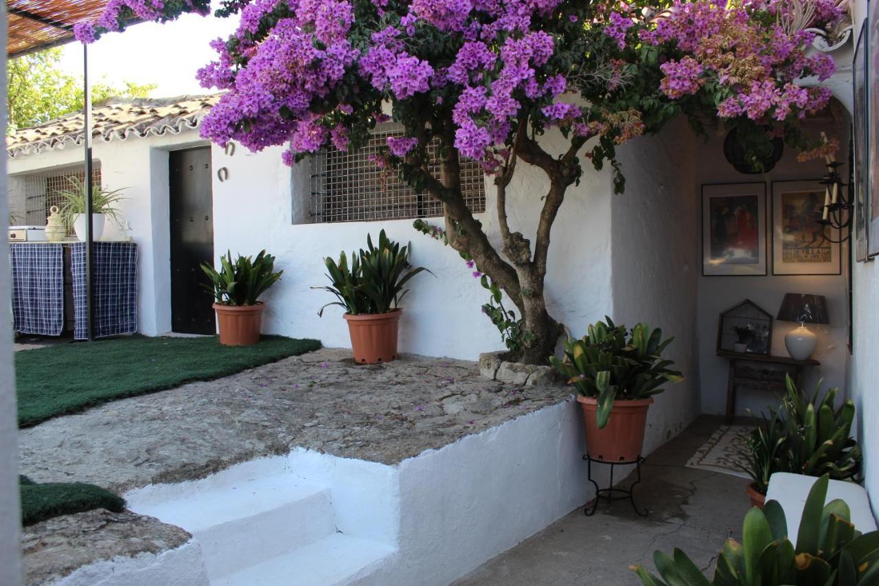 Casa Rural Faltriquera Setenil Setenil De Las Bodegas Exterior photo
